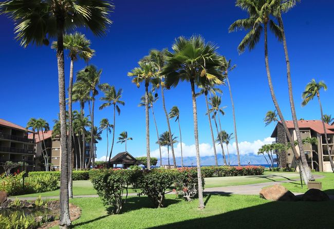 C107 - 3543 Lower Honoapiilani Rd, Condo with 0 bedrooms, 1 bathrooms and null parking in Lahaina HI | Image 13