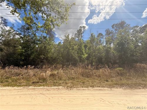 2907 Clearwood St, INVERNESS, FL, 34452-3782 | Card Image