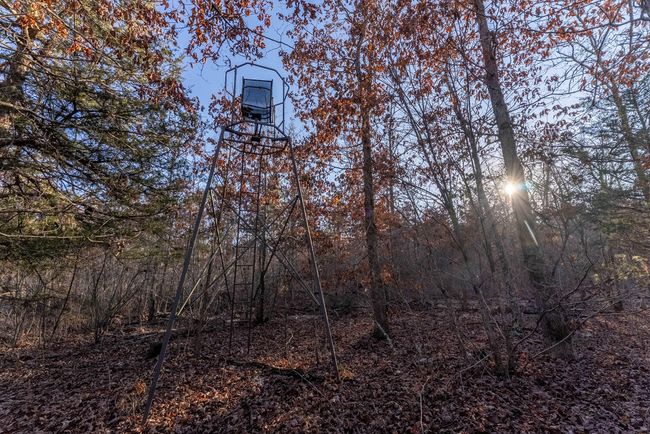 23 Acres012 | Image 14