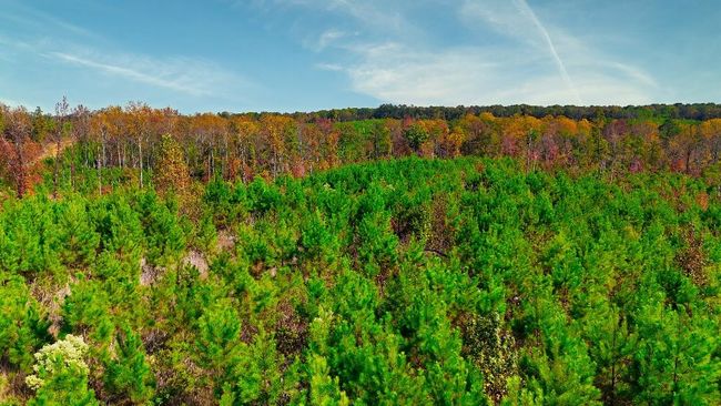 4 Ferrell Rd, Home with 0 bedrooms, 0 bathrooms and null parking in Middleton TN | Image 7