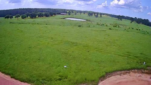 247 Meadowview Dr, Hillister, TX, 77624 | Card Image