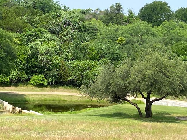 This view could be yours from the back of your new home. | Image 22