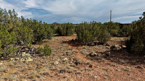 8577 Cannon Blvd, Show Low, AZ, 85901-8163 | Card Image