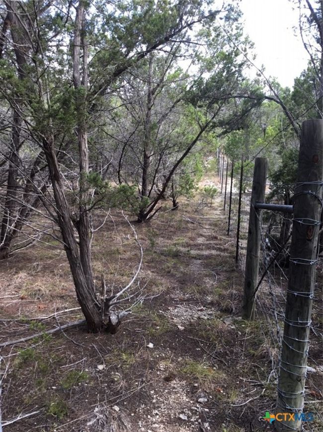 Fence Line of Neighboring Home | Image 8