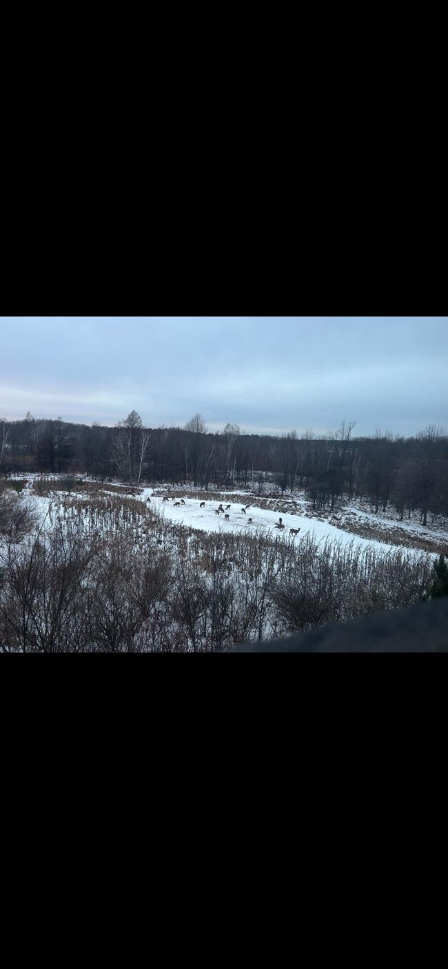 5004 N Cypress Ave, Home with 0 bedrooms, 0 bathrooms and null parking in Big Rapids MI | Image 35