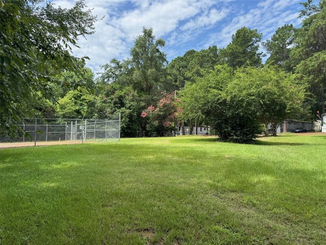 View of yard | Image 22