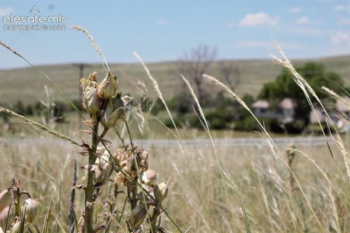Tract 15 Mcclelland Road, Calhan, CO, 80808 | Card Image