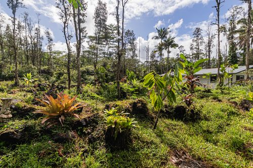 14-3377 Mauna Kea Rd, PAHOA, HI, 96778-8174 | Card Image