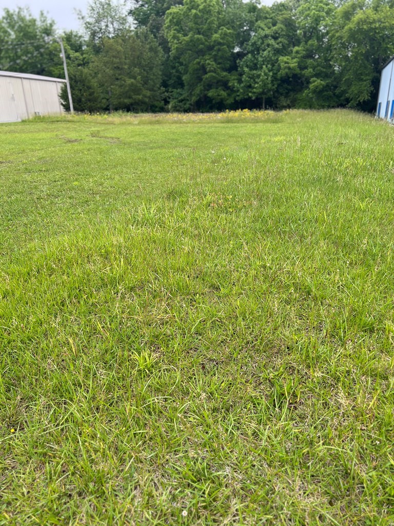 Commercial Sale in Cookeville 2