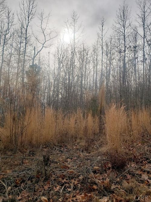 0 Mountain Creek Rd, Green Bay, VA, 23942 | Card Image