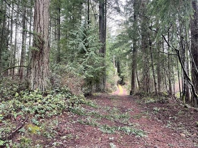 Driveway | Image 18
