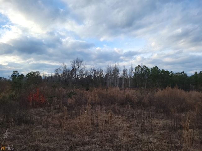 2757 Us Highway 1 N, Home with 0 bedrooms, 0 bathrooms and null parking in swainsboro GA | Image 11