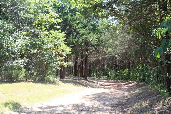 506 County Road 6411, House other with 3 bedrooms, 2 bathrooms and null parking in Green Forest AR | Image 8