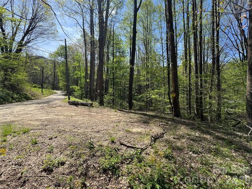 TBD (B) Browning Branch Rd, Waynesville, NC, 28786 | Card Image