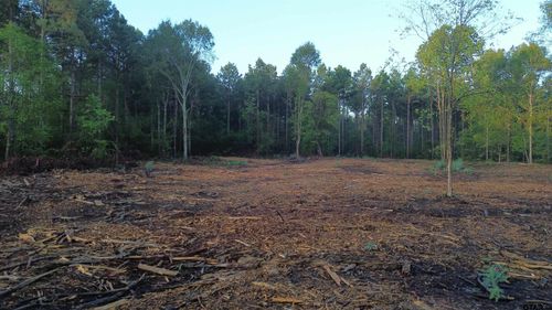 Tract 2 000 E Hwy 80, Waskom, TX, 75692 | Card Image