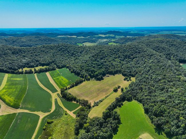 DJI_0366.jpg | Image 24