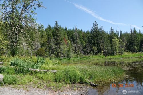 41102 Tanwax Road S, Roy, WA, 98580 | Card Image