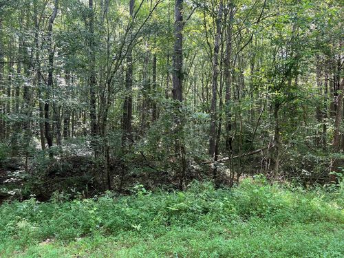 441 Sycamore Dr, Camden, TN, 38320-2089 | Card Image