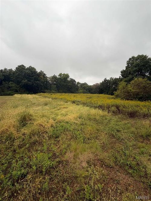 20785 Oak Rest Road, Brighton, IL, 62012 | Card Image