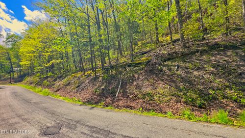  Lot 108 Mountain Blvd, Sevierville, TN, 37876 | Card Image