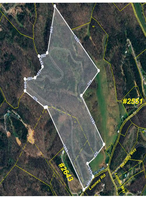 0000 Looney Rd, Parrottsville, TN, 37843 | Card Image