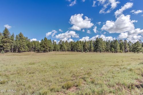 11-95 E Foxboro Rd, Munds Park, AZ, 86017 | Card Image