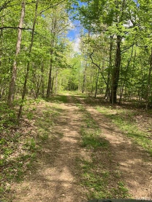 228 Madison Cr 410, Fredericktown, MO, 63645 | Card Image