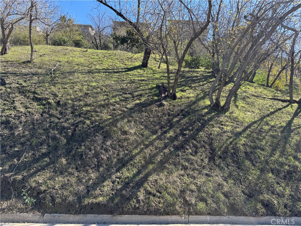 Land in Sherman Oaks 3