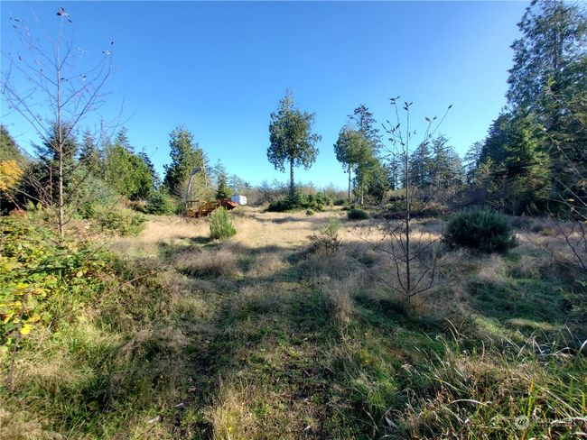 36602 Stackpole Rd, Home with 0 bedrooms, 0 bathrooms and null parking in Oysterville WA | Image 10