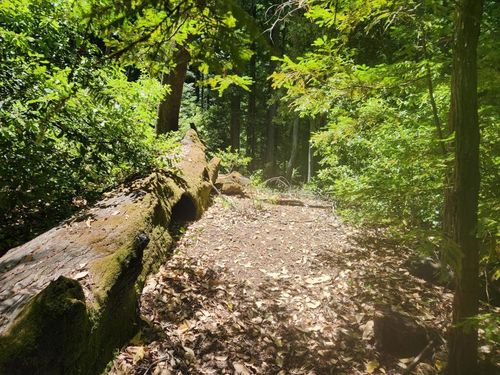 0 Lost Valley Road, Los Gatos, CA, 95033 | Card Image