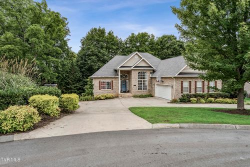 194 Sunset Meadows Ct, Gray, TN, 37615-4298 | Card Image