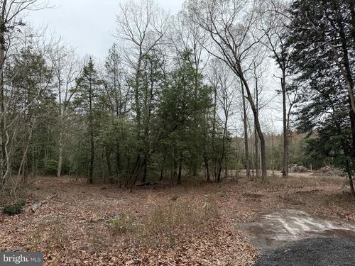 LOT 3 Trap Pond Rd, LAUREL, DE, 19956 | Card Image