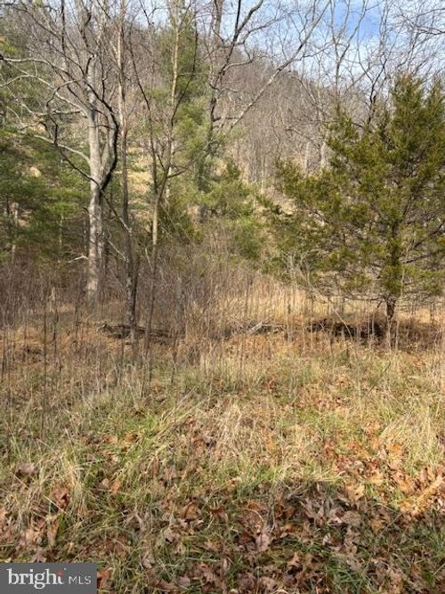 Lot 14 Wildlife Dr, LOST CITY, WV, 26810-8480 | Card Image