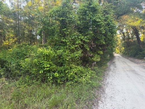 00 Sw 82nd Ct, Fanning Springs, FL, 32693 | Card Image