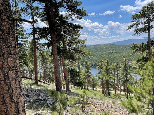 1091 Osage Trl, Red Feather Lakes, CO, 80545 | Card Image
