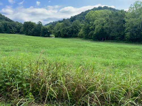 15 Long Rd, Burkesville, KY, 42717-8620 | Card Image