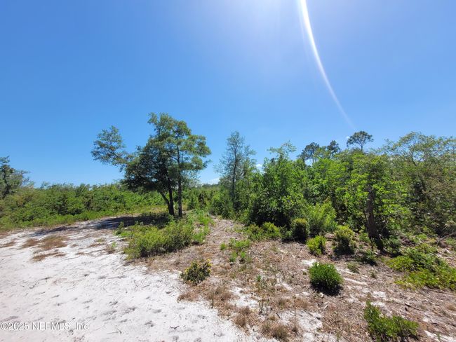 2155 State Road 40, Home with 0 bedrooms, 0 bathrooms and null parking in De Leon Springs FL | Image 58