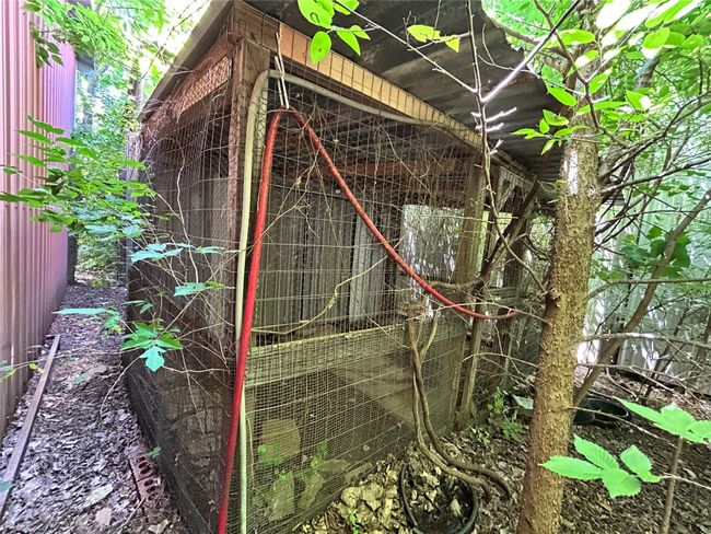 chicken coop | Image 20