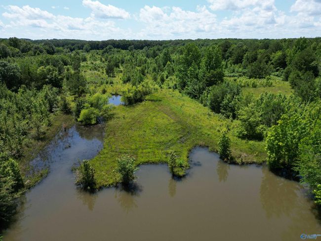 14 Acres Beaver Creek Rd, Home with 0 bedrooms, 0 bathrooms and null parking in Laceys Spring AL | Image 13