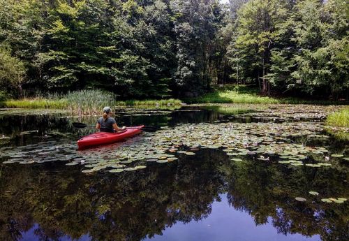 35 Trillium Dr, Muncy Valley, PA, 17758-8701 | Card Image