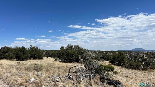 87 Warpath Rd, Quemado, NM, 87829 | Card Image