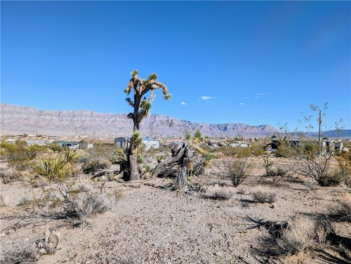 115 E Kolb Dr, Meadview, AZ, 86444 | Card Image