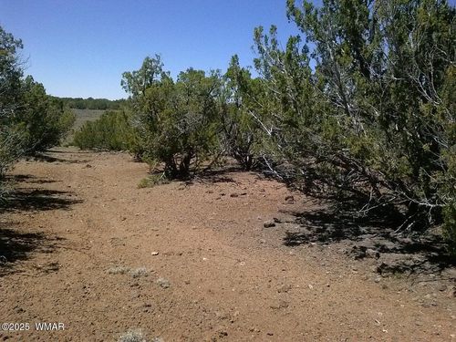 TBD County Road 8026, Concho, AZ, 85924 | Card Image