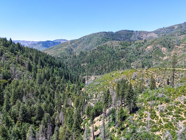 0000 E Fork Rd, Home with 0 bedrooms, 0 bathrooms and null parking in French Gulch CA | Image 56