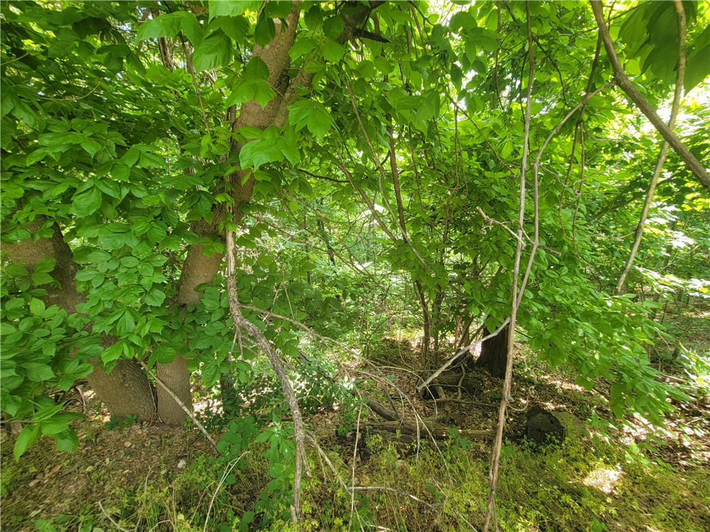 Land in Bella Vista 4