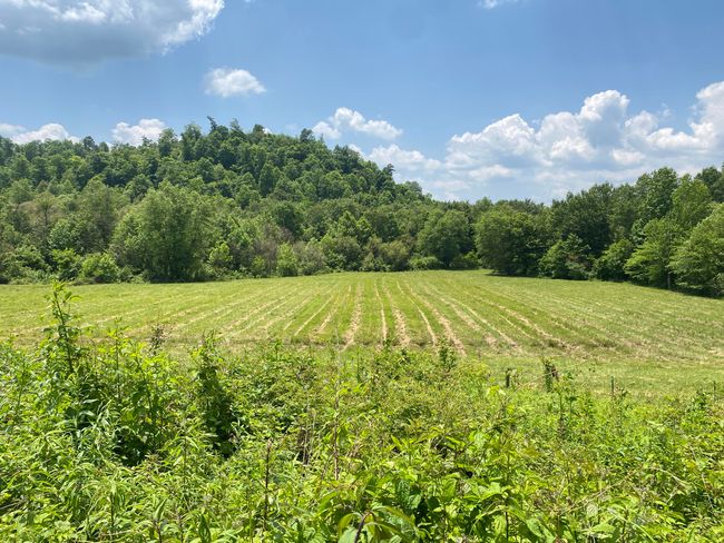 648 Hayes Creek Rd, House other with 3 bedrooms, 1 bathrooms and null parking in Strunk KY | Image 36