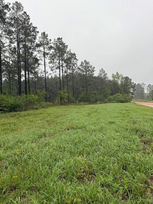 0 Richardson Rd E, Home with 0 bedrooms, 0 bathrooms and null parking in Livingston TX | Image 15
