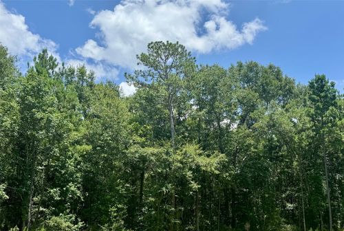 Lot 14 Riverstone Drive, Livingston, TX, 77351 | Card Image