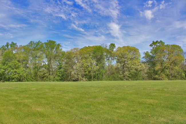 25 Laurel Wood Ln, Home with 0 bedrooms, 0 bathrooms and null parking in Nancy KY | Image 5