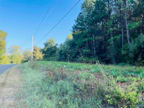 5ac County Road 81, Flat Rock, AL, 35966 | Card Image